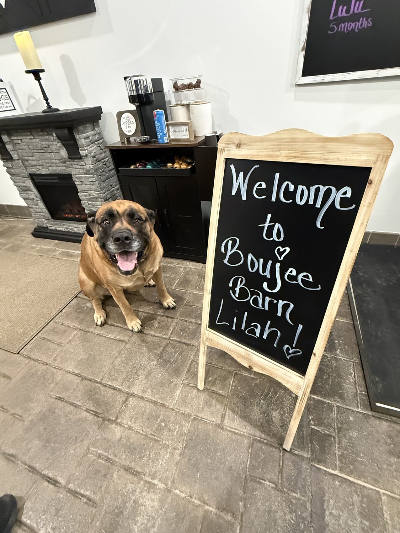 Dog greeted with a welcome chalkboard at Boujee Barn dog boarding