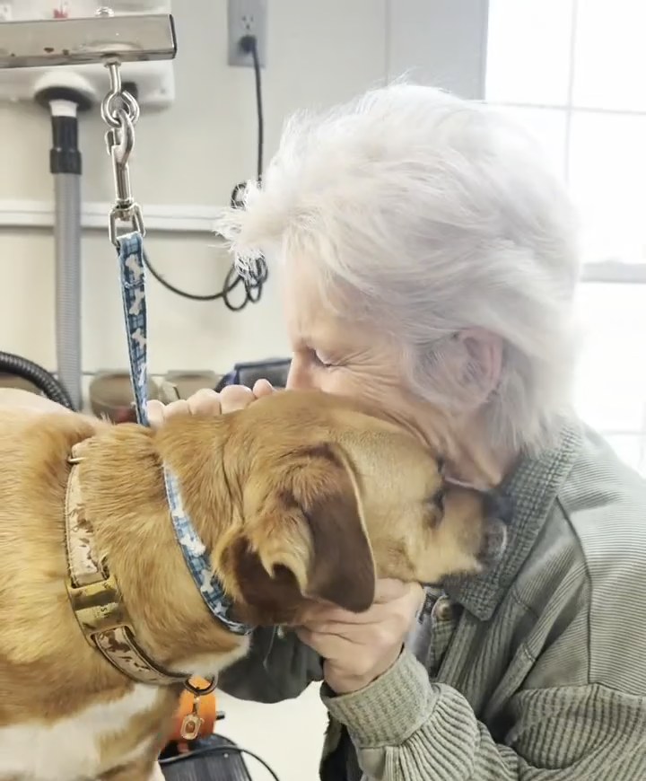 Boujee Barn owner sharing a moment with a dog in the grooming room