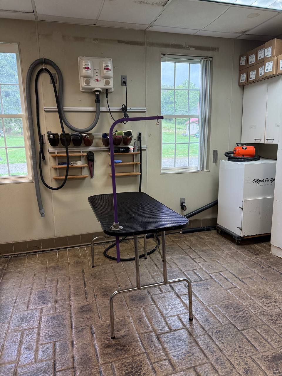 Sunlit grooming room at Boujee Barn Pet Resort with big windows over the countryside
